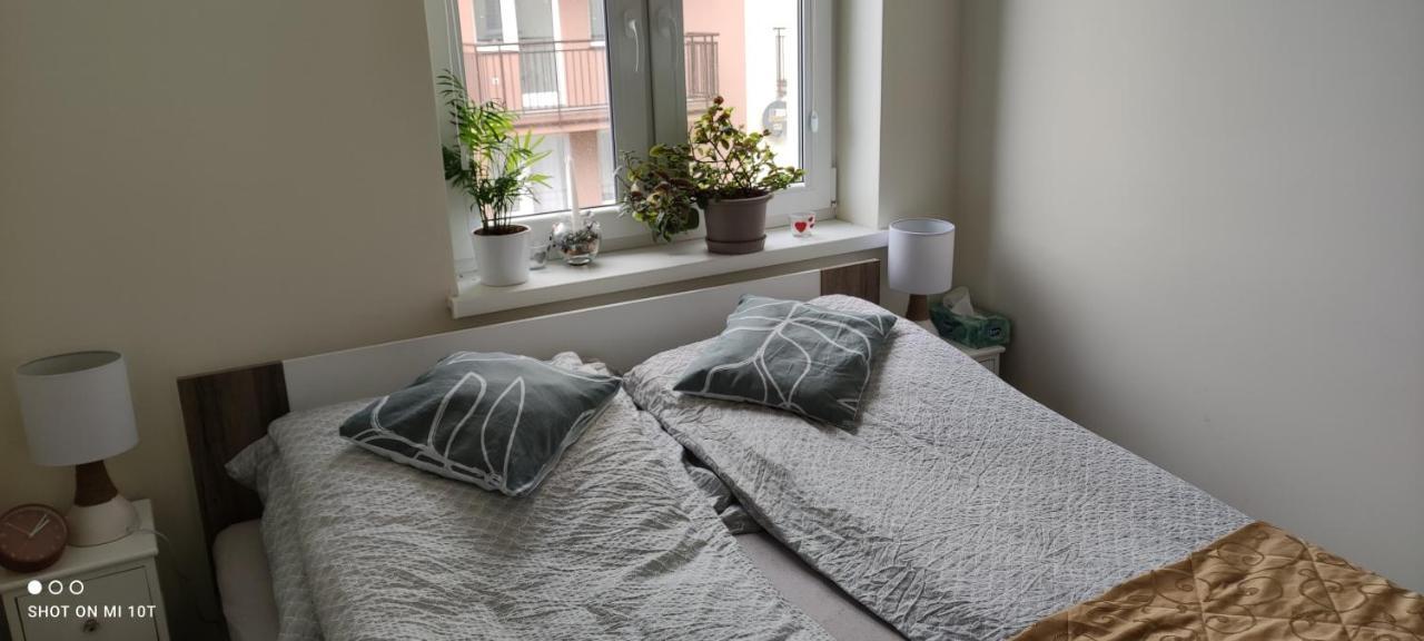 Apartament W Spokojnej Lokalizacji Cieplewo Extérieur photo